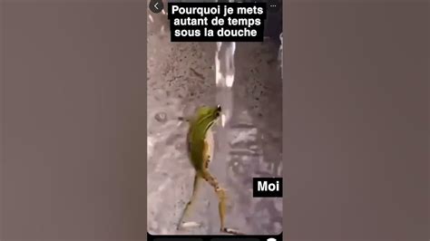 grenouille danse tiktok youtube