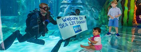 Book Sea Life Orlando Tickets Updated 2021