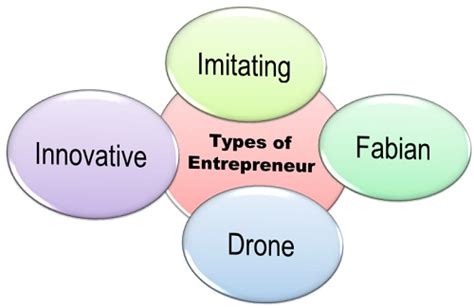Types Of Entrepreneurs Functions Of Entrepreneur