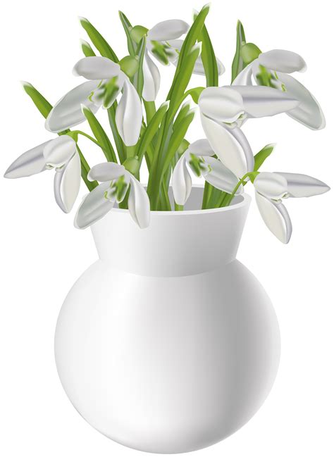 Flower vase illustrations and clipart (14,191). Vase with Snowdrops Transparent PNG Clip Art Image ...