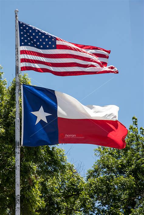 Us And Texas Flags Flying In The Breeze Of The Lone Star State