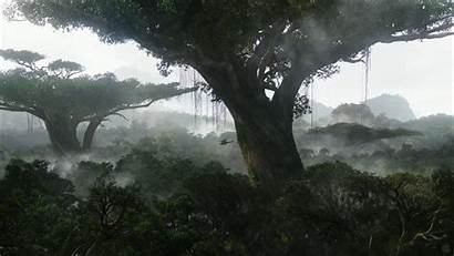Pandora Rainforest Forest Desktop Avatar Resolution Extended