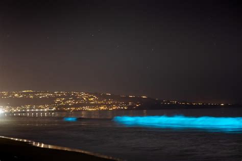 The California Coastline Is Glowing Afrom Baja To Los Angeles Nature