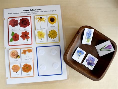 Preschool Printable Flower Colour Matching Game Montessori Inspired