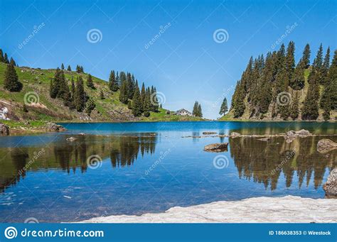 Trees On The Mountains Surrounded By Lake Lac Lioson In Switzerland
