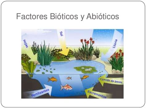 El Blog De El Divino Factores Bióticos Y Abióticos De Los Ecosistemas