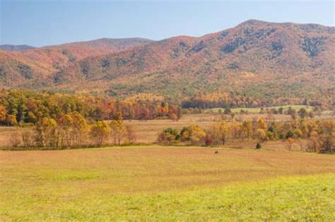 Everything You Need To Know About Cades Cove