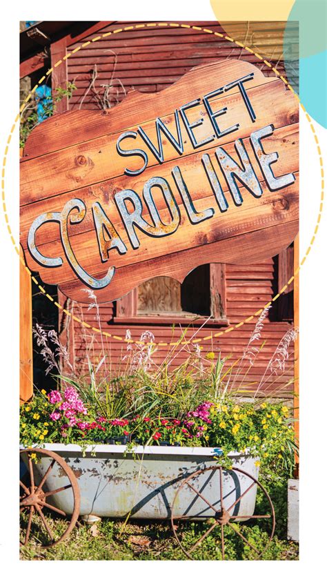 Sweet Caroline Features