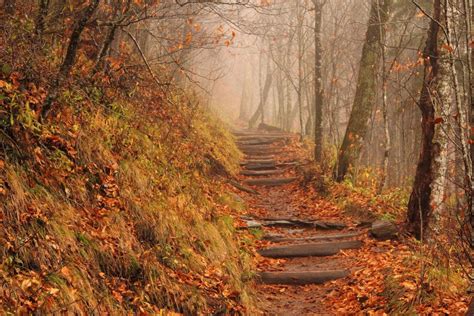 The Scariest Haunted Hiking Trails In The Us Travel Channel