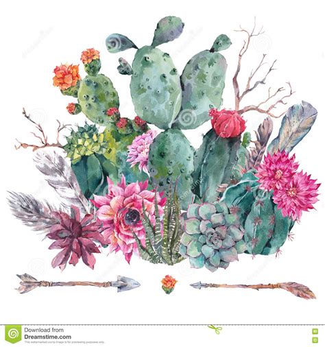Watercolor Cactus Succulent Flowers Stock Illustration