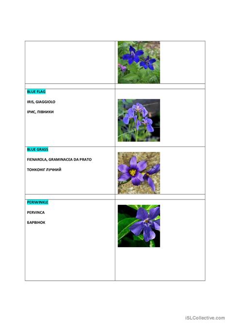 Botany Names Of Main Flowers Trans English Esl Worksheets Pdf And Doc