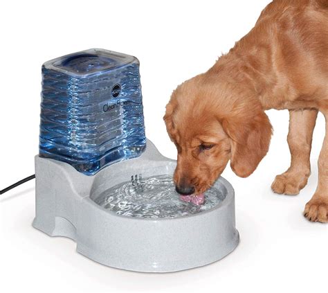 Best Outdoor Dog Bowl 2023 Top Outdoor Water Bowls For Dogs