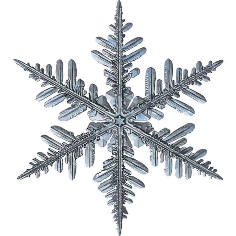 Realistic Snowflake Clipart  Png 1007 Etsy