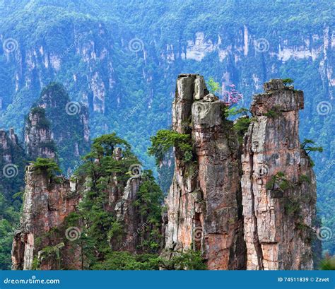 Zhangjiajie National Forest Park In Hunan Province China Stock Image
