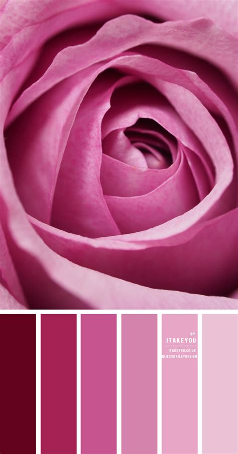 Pink Colour Combination