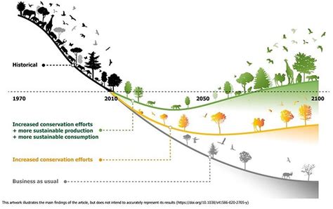 Bending The Curve Of Biodiversity Loss Philips