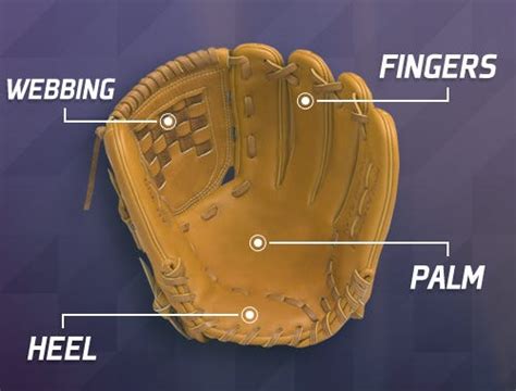 Baseball Glove Size Guide Baseball And Softball Sizing Charts