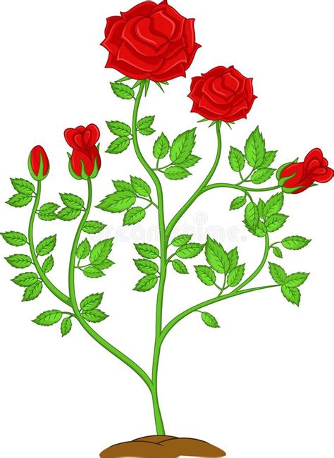 Rose Cartoon Stock Vector Illustration Of Rose Drawing 37036302