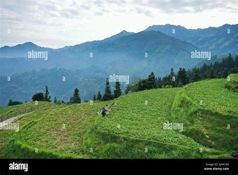 Rongjiang. 16th July, 2022. Aerial photo taken on July 16, 2022 shows
