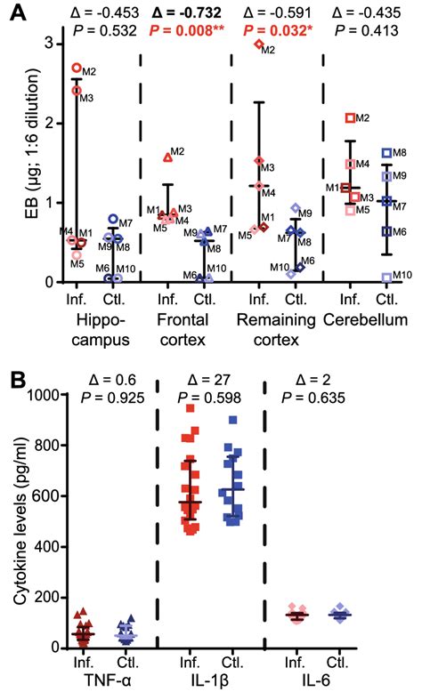 Chronic Peripheral Taenia Crassiceps Infection Disrupts The Blood Brain