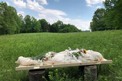 Green funerals: Eco-friendly advancements in body disposal are making