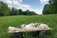 Green Funeral Home Dillon Sc