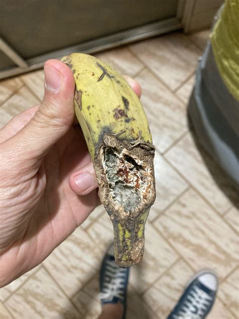 This Banana Roddlyterrifying