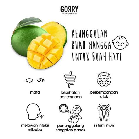 Tahukah Anda Manfaat Buah Mangga Untuk Si Kecil Mudah Dicerna