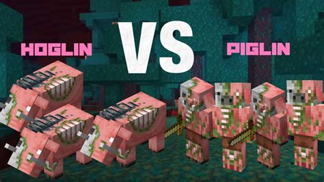 PIGLINS VS HOGLINS Minecraft BATTLE EXPERIMENT YouTube