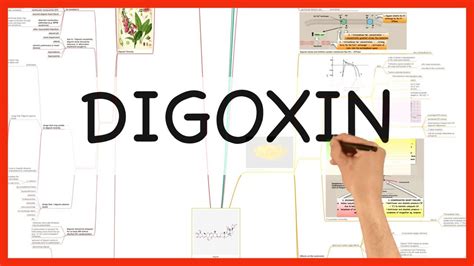 Digoxin Pharmacology Series Youtube