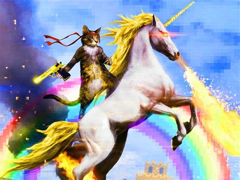 cat riding fire breathing unicorn   desktop desktop background