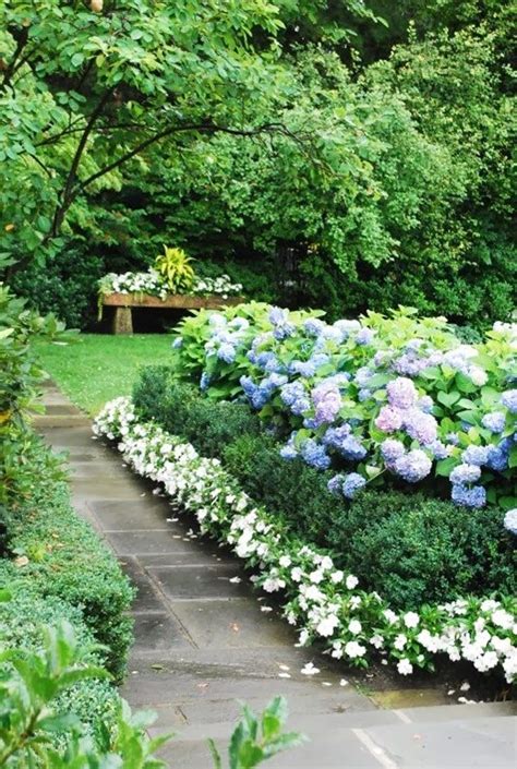 Small shrubs such as dwarf fothergilla f. 80 Must-See Garden Pictures That Inspire | Border plants ...