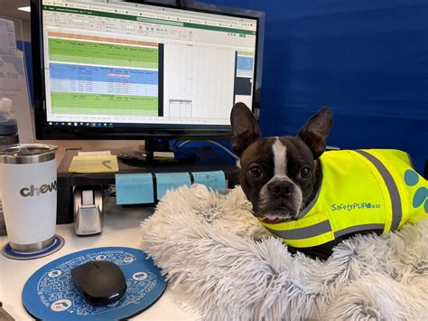 Fulfillment Center Jobs @ Chewy | Many Locations, Great Pay & Benefits