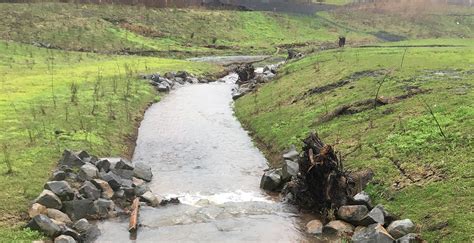 Stevens Creek Realignment Urban Resources Inc