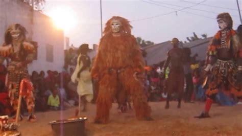 Moulaye Lion Of Senegal In Festival Simb In Senegal Youtube