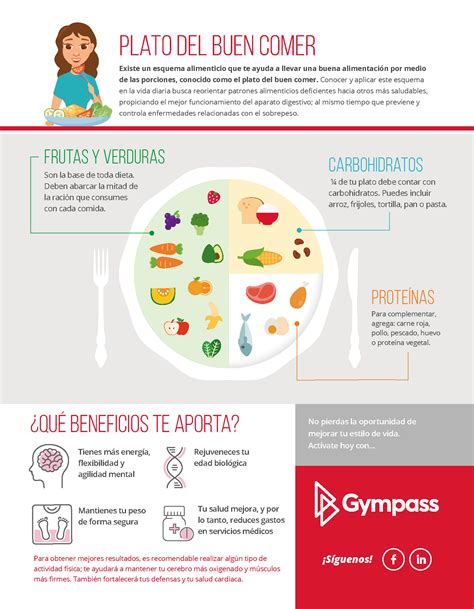 Infografia Plato Del Buen Comer Plato Del Buen Comer Platos Images 8194 Hot Sexy Girl