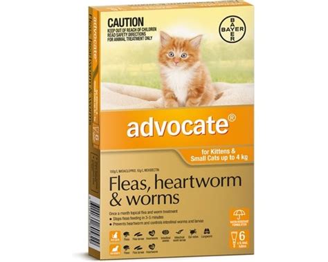 Advocate For Small Cats Under 4kg 6 Pack Orange My Pet Warehouse