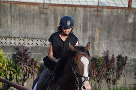 Horse Riding Philippines Yana Loves The Cavaletti Horse Riding Lesson