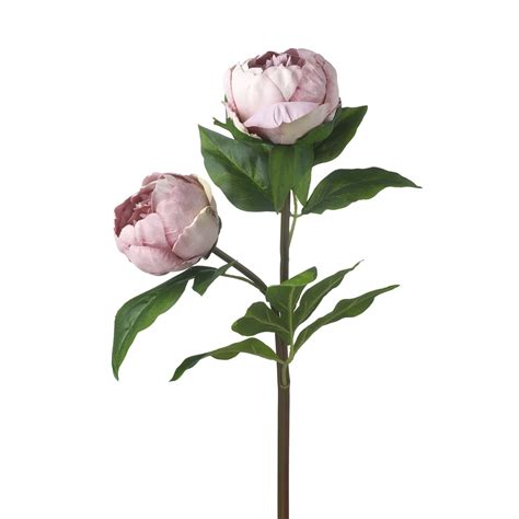 Faux Real Touch Peony Stem