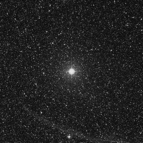 φ Cygni Phi Cygni Star In Cygnus
