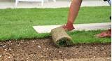 Images of Where Can I Buy Astro Turf For My Garden