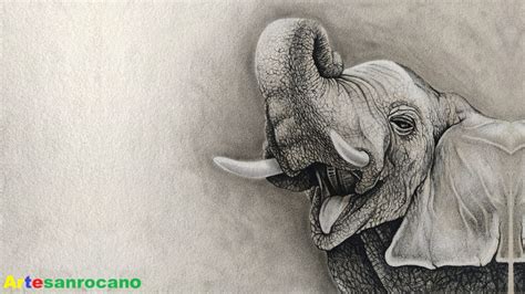 Dibujo De Elefante Con Lápiz Carboncillo Elephant Drawing With