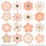 Peach Flower Clipart Pictures