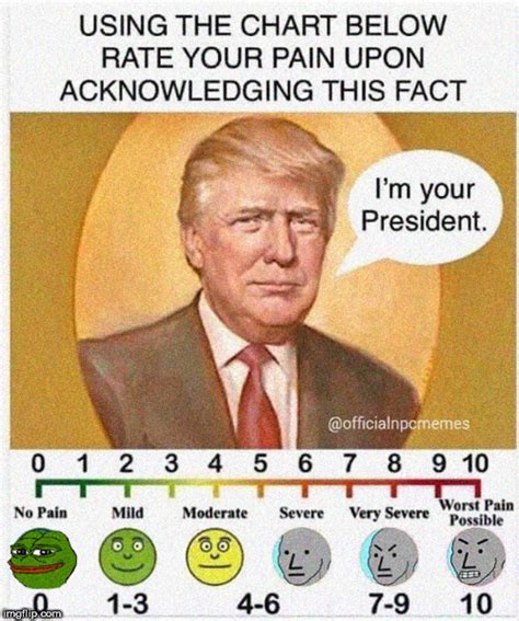Pain Scale Trump Is Your President Imgflip