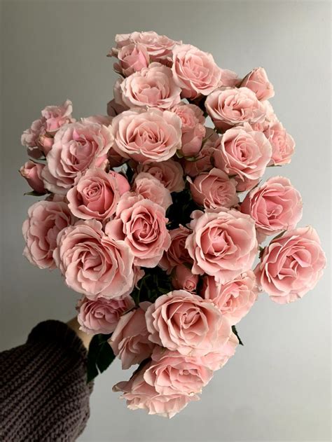 Pink Majolica Spray Roses Luxury Flowers Pink Rose Bouquet Spray