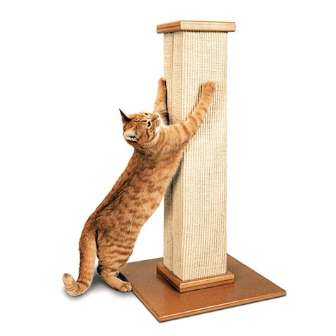 3832 The Ultimate Scratching Post By Smartcat Pioneer Pet
