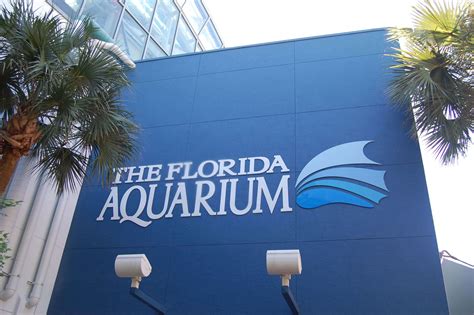 How To Plan The Best Visit To The Florida Aquarium · Planes Trains