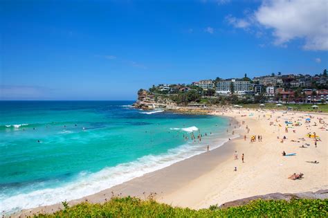 10 best beaches in sydney which sydney beach is right for you go guides