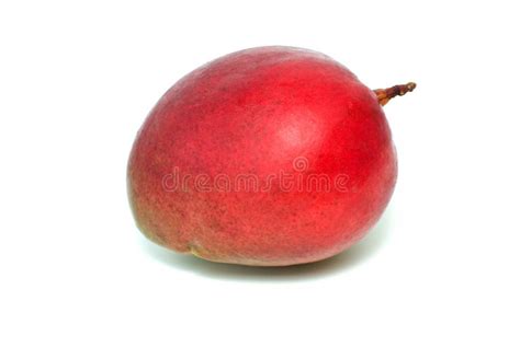 Single Red Mango Fruit Stock Image Image Of Ripe Tropical 5986687