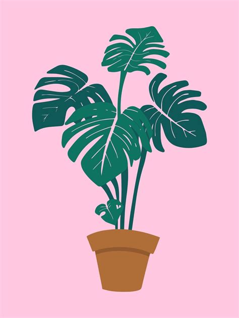 Monstera In Plant Pot Vector Illustration On Pastel Pink Background
